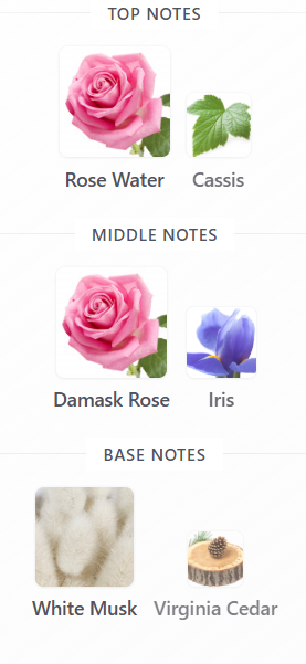 Irresistible Givenchy