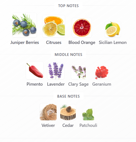 Dolce & Gabbana King edt