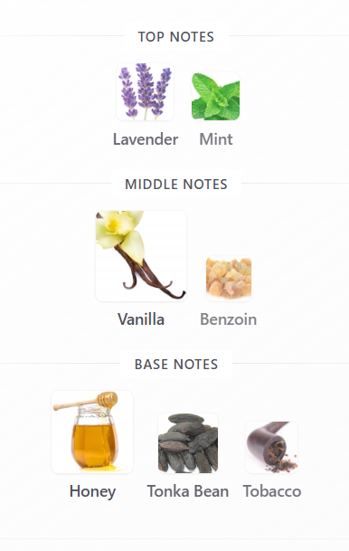 Le Male Elixir Jean Paul Gaultier